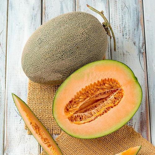 甜瓜爆料炮台视频下载安装,轻松获取热门内容  第1张